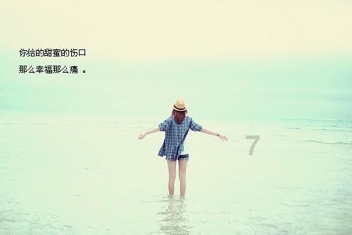 杨淑丽当选宁夏回族自治区政协副主席