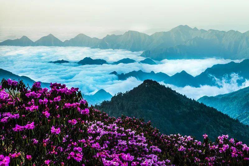 懒羊羊的奇幻世界